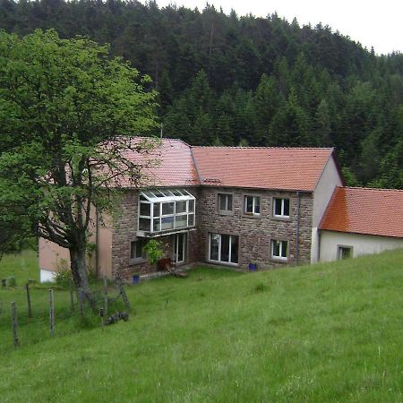 Gite Hansel De La Ferme Du Schneeberg Wangenbourg-Engenthal Buitenkant foto