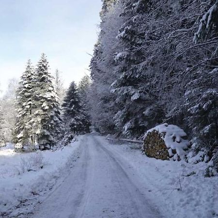 Gite Hansel De La Ferme Du Schneeberg Wangenbourg-Engenthal Buitenkant foto