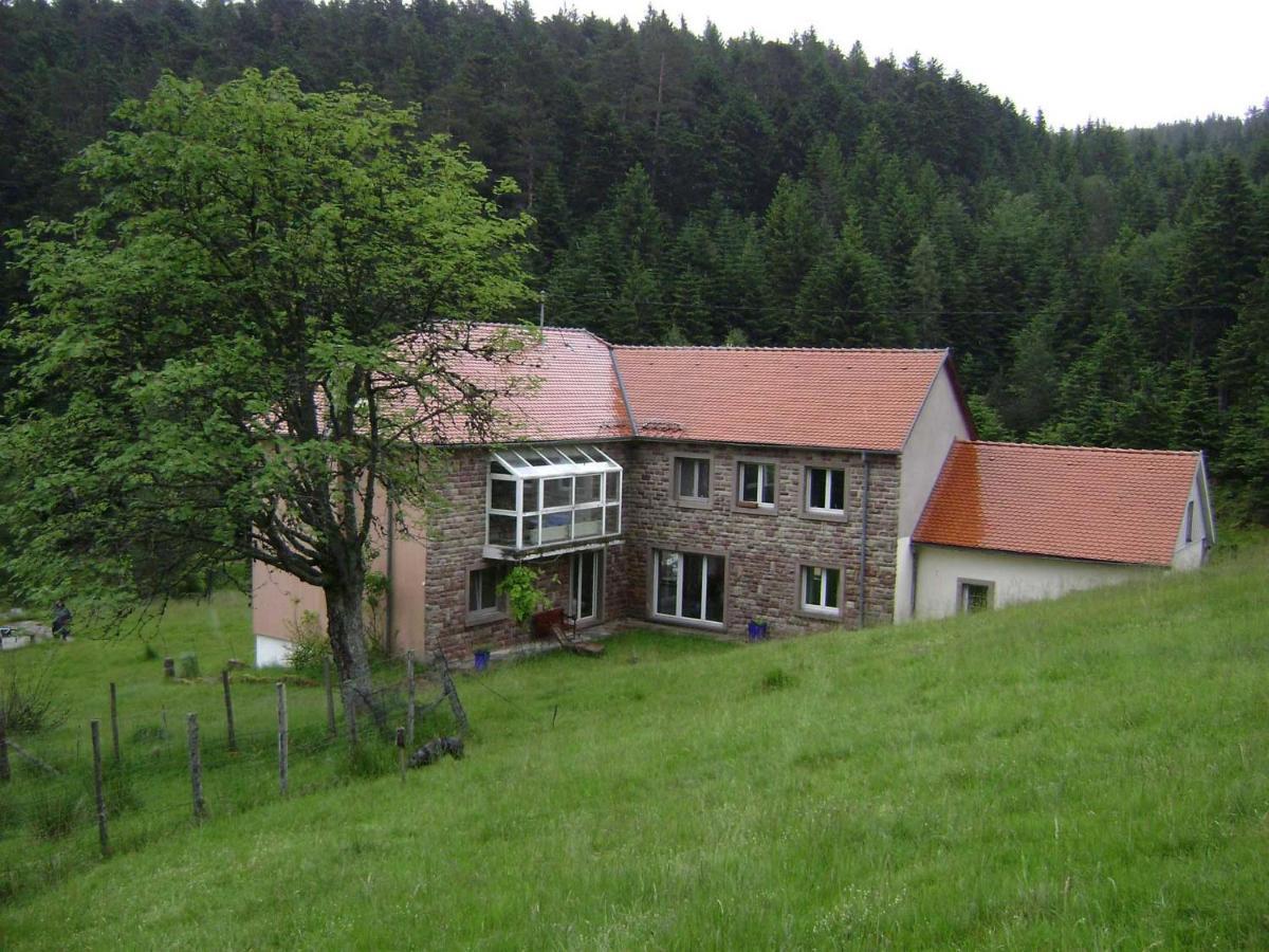 Gite Hansel De La Ferme Du Schneeberg Wangenbourg-Engenthal Buitenkant foto