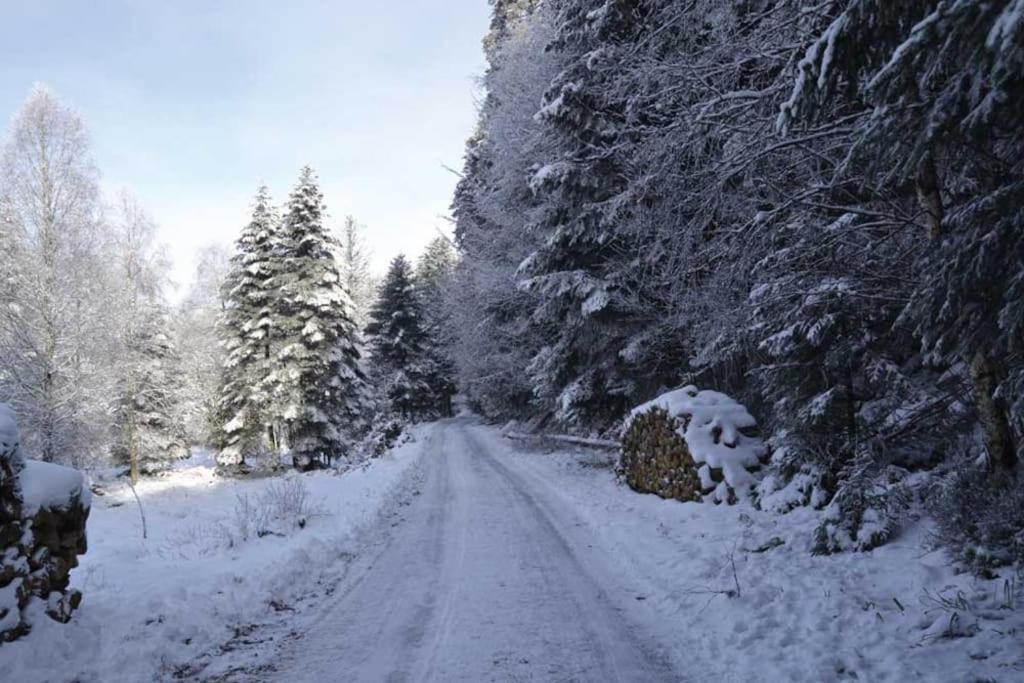 Gite Hansel De La Ferme Du Schneeberg Wangenbourg-Engenthal Buitenkant foto