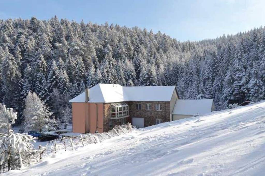 Gite Hansel De La Ferme Du Schneeberg Wangenbourg-Engenthal Buitenkant foto