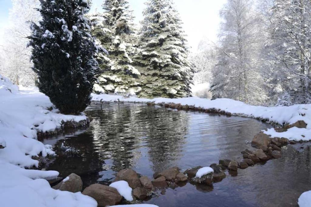 Gite Hansel De La Ferme Du Schneeberg Wangenbourg-Engenthal Buitenkant foto
