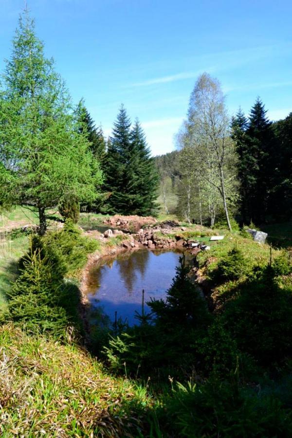 Gite Hansel De La Ferme Du Schneeberg Wangenbourg-Engenthal Buitenkant foto